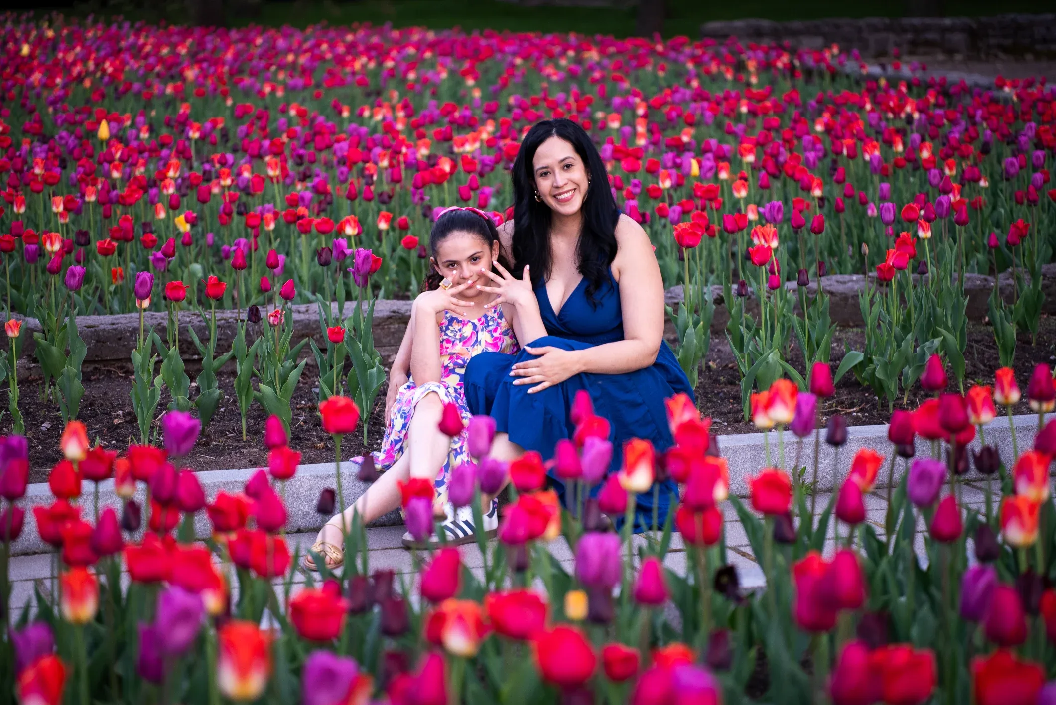 Tulipanes en Montreal: cuando el jardín botánico cambia de ritmo